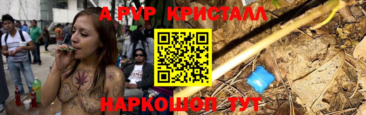 A PVP СК КРИС Десногорск