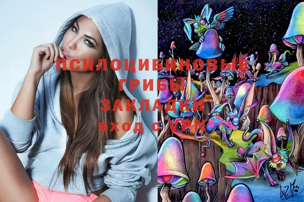 марки nbome Алексеевка