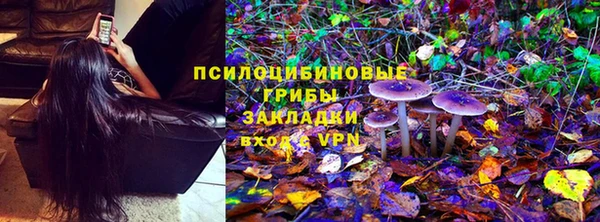спайс Мегион