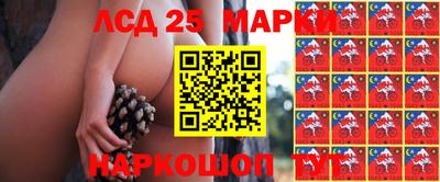 ГАЛЛЮЦИНОГЕННЫЕ ГРИБЫ Бузулук