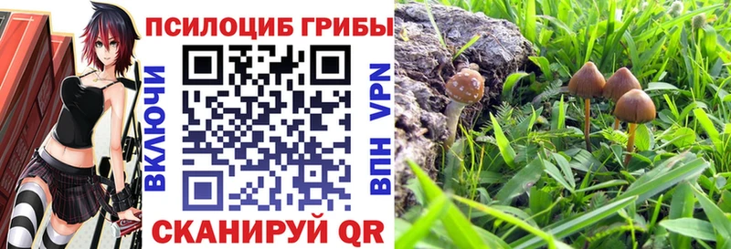 Псилоцибиновые грибы Magic Shrooms  купить  сайты  Десногорск 